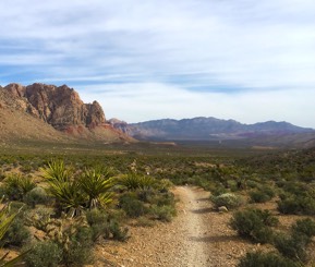 Trail going into Red Rock Canyon National Conservation Area